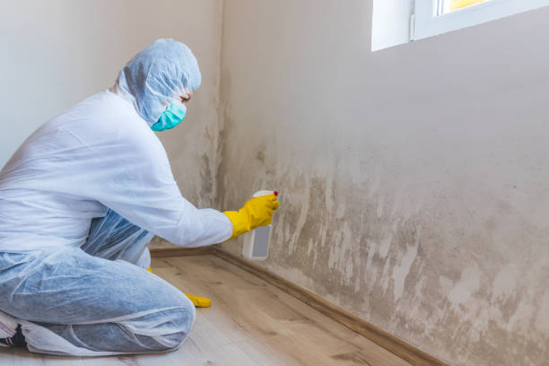 Mold Remediation specialist working in New Braunfels